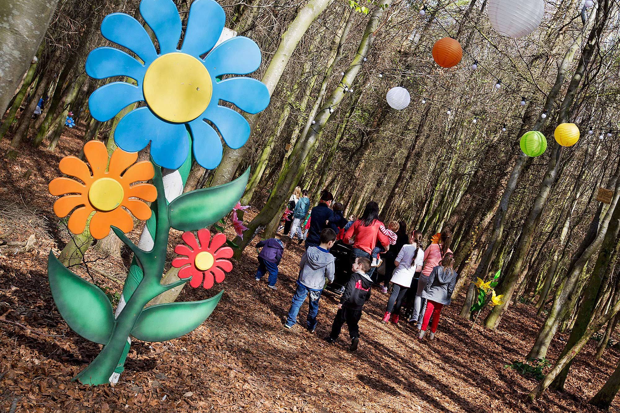 Tymon Park - Fairy Trail