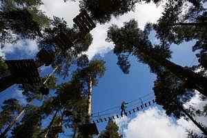 Zipit Forest Adventure, Tibradden Wood, Dublin