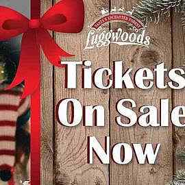 Santa’s Enchanted Forest